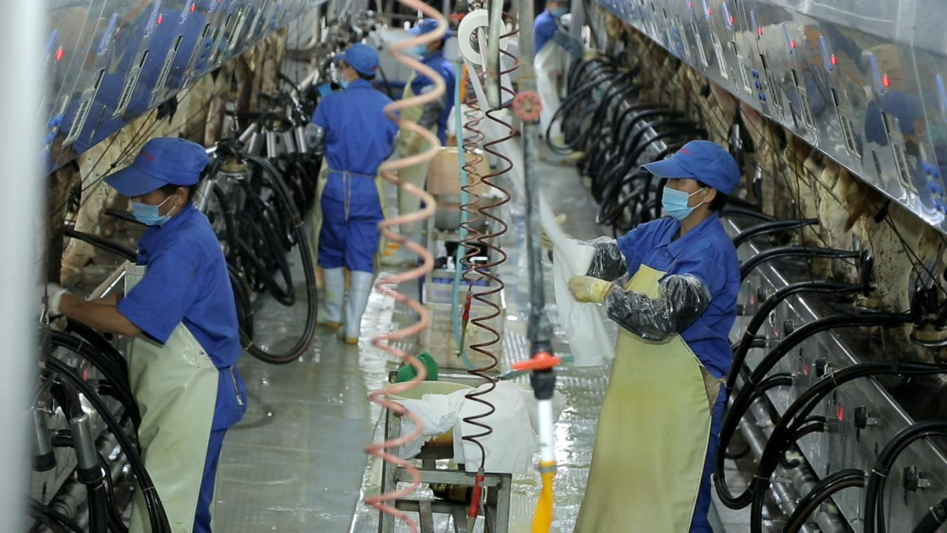 花花牛丨河南農(nóng)業(yè)大學(xué)黨委副書記、校長(zhǎng)介曉磊一行蒞臨花花牛河南瑞亞參觀調(diào)研