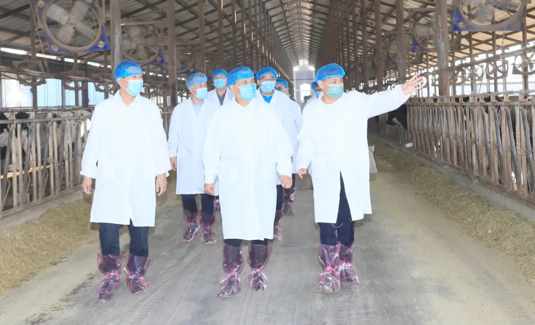 快訊丨河南省人民政府副省長武國定蒞臨花花牛乳業(yè)集團瑞亞牧業(yè)調(diào)研奶源基地建設(shè)情況