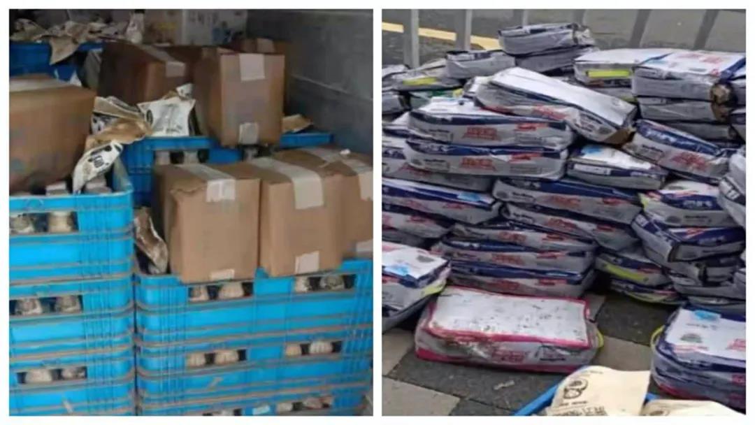 【乳報(bào)·聚焦】“豫”難而上的中原牛人“太中了”！