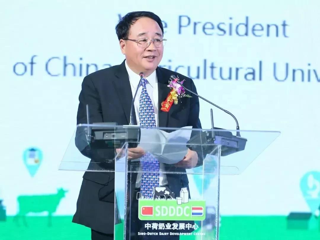 SDDDC走進(jìn)河南，看看花花牛的國(guó)際范兒！