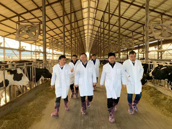 寧夏回族自治區(qū)農(nóng)業(yè)農(nóng)村廳黨組書記、廳長王剛一行蒞臨花花牛乳業(yè)集團調(diào)研