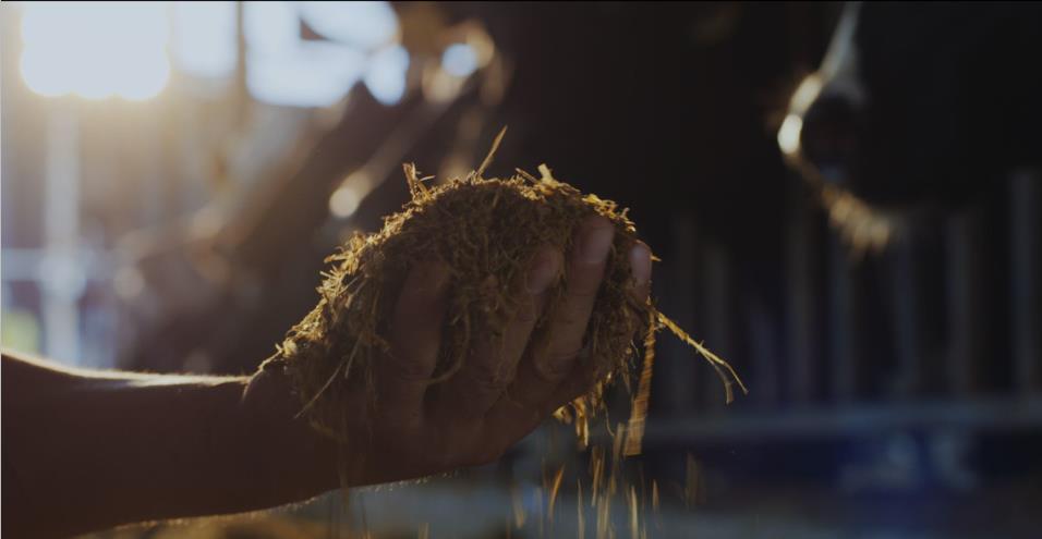 又雙叒叕獲獎啦！花花牛榮獲“乳品質(zhì)量安全管理 優(yōu)秀企業(yè)”