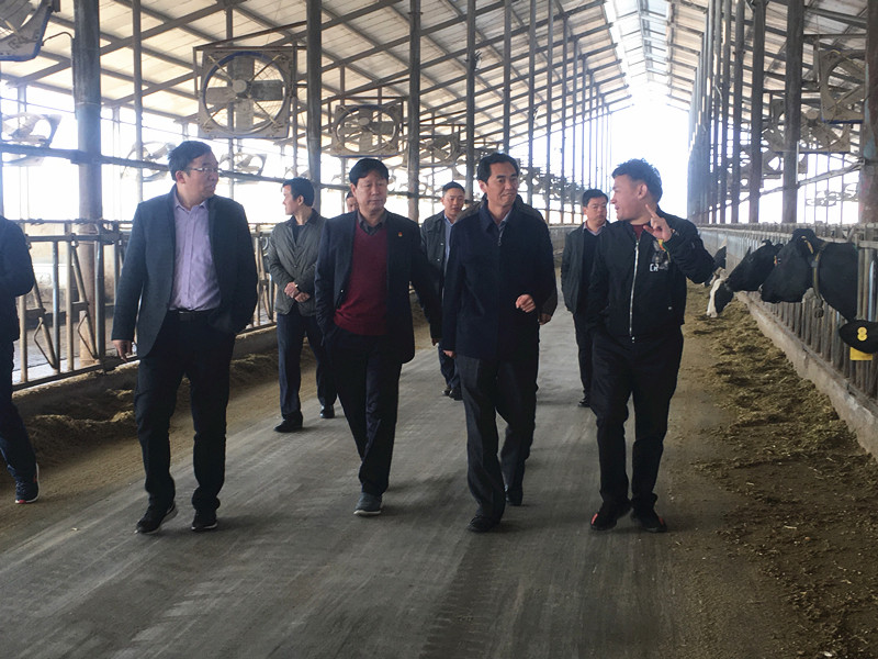 封丘縣縣長王獻(xiàn)臣一行蒞臨 花花牛集團(tuán)養(yǎng)殖、乳品事業(yè)部參觀調(diào)研
