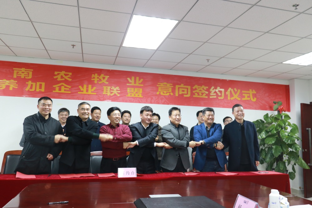 涉農企業(yè)強強聯(lián)合，“抱團取暖”共迎企業(yè)發(fā)展的春天
