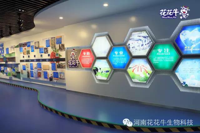花花牛：務實、創(chuàng)新領潮市場 大企業(yè)體現(xiàn)大擔當