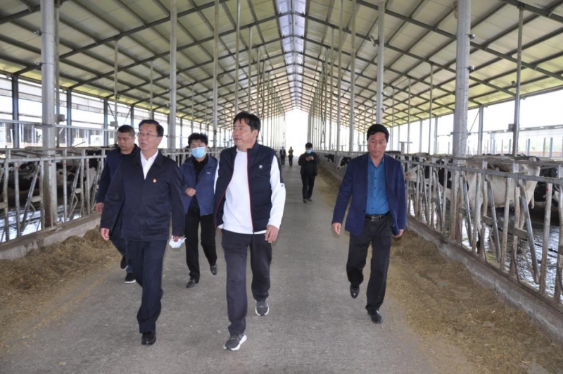 商丘市委常委、宣傳部部長(zhǎng)王全周一行蒞臨睢縣瑞亞牧業(yè)有限公司調(diào)研